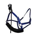 Dental Halter