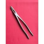 Wolf Teeth Forceps Large