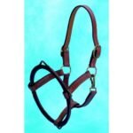 Dental-Halter