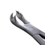 4-Prong Extraction Forceps, 19" Length - Image 2