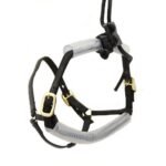 Dental Halter